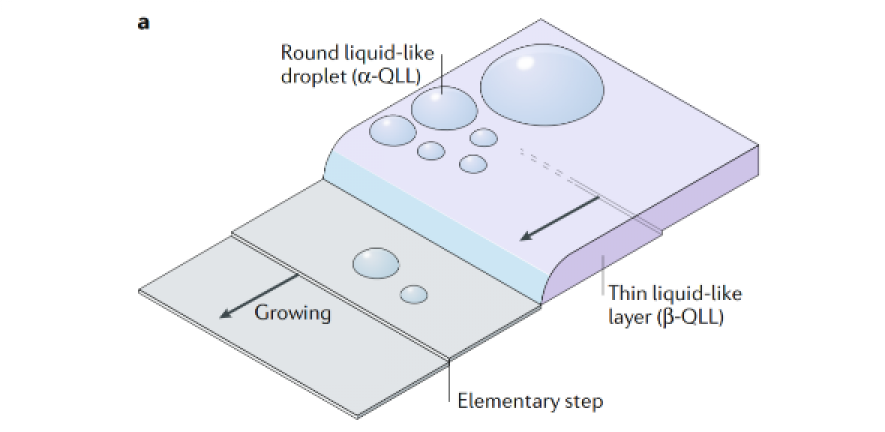 Nature Reviews Chemistry on surface premelting of water ice published ...